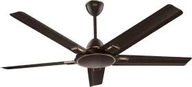 Kuhl Brise Star E5 Duo 1320 mm 5 Blade BLDC Ceiling Fan