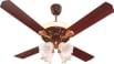 Breezalit Ambience 1200 mm 4 Blade Ceiling Fan