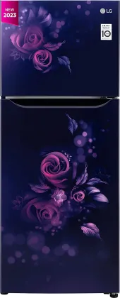 LG GL-N292BBEY 242 L 2 Star Double Door Refrigerator