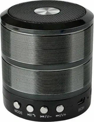MZ 887 5W Bluetooth Speaker
