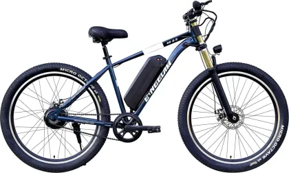 Neelam N.E 2.9 Single Speed 29T 10.4Ah Electric Cycle