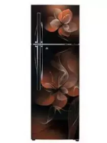 LG GL-T292RHDX 260L 4 Star Double Door Refrigerator