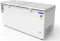 Blue Star CF5-575NEYW 515 L Double Door Deep Freezer