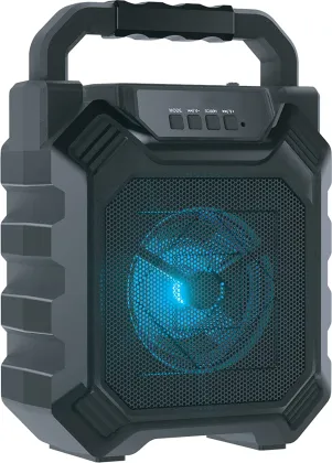 RD B-S9 5W Bluetooth Speaker