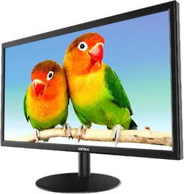 Intex IT-2202 20 inch Full HD Monitor