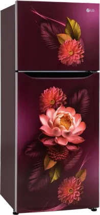 LG GL-S292SRWY 240 L 2 Star Double Door Refrigerator