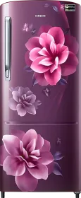 Samsung RR20C2723CR 183 L 3 Star Single Door Refrigerator