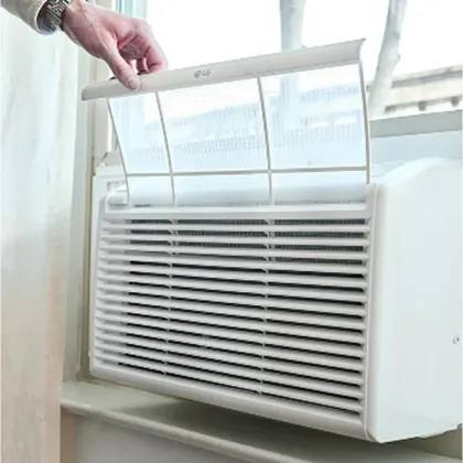 LG LW6023R 5800 BTU 115V Window AC