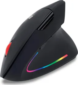 iBall Ergo Wireless Mouse