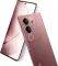 Vivo V29 (12GB RAM + 256GB)