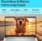 HP 15s-fq5327TU Laptop (12th Gen Core i3/ 8GB/ 512GB SSD/ Win11 Home)