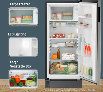 Liebherr DFPgsC 1931 191 L 3 Star Single Door Refrigerator