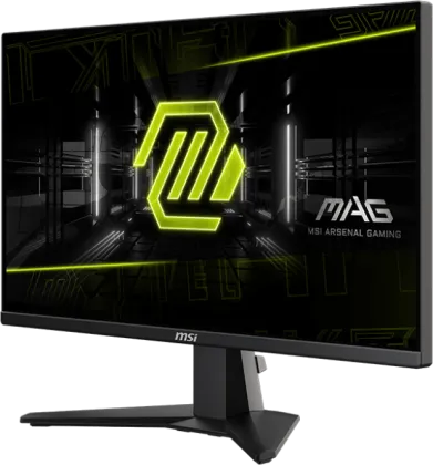 MSI MAG 255XFV 25 inch Full HD Gaming Monitor