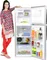 Samsung RT27HAJYASA/T 253 L Double Door Refrigerator