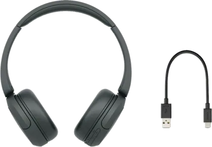 Sony WH-CH520 Wireless Headphones