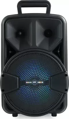 MZ M47VPA 10W Bluetooth Speaker