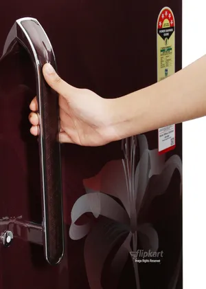 LG GL- D205XSLZ 190 L Single Door Refrigerator