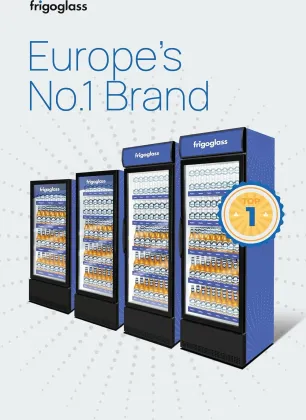 Frigoglass VG-200 187 L Single Glass Door Visi Cooler