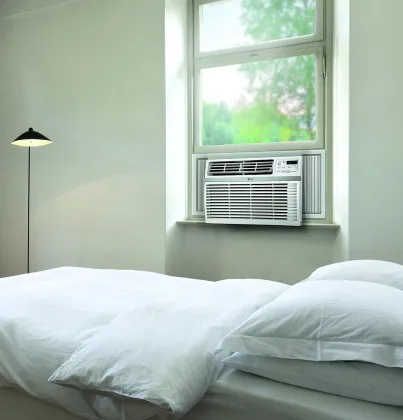 LG LW1816ER 18000 BTU 230V Window AC