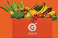 Now Place Your New Orders at Grofers Everyday