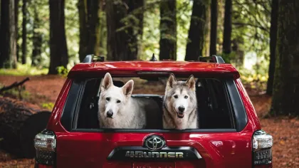 Toyota 4Runner