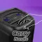 Zebronics Zeb-Buddy 200 100W Bluetooth Speaker