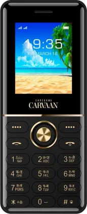 Saregama Carvaan Don Lite Punjabi