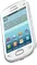 Samsung Rex 90 S5292