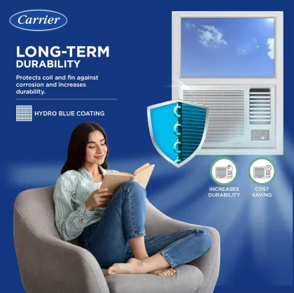 Carrier CAW12SC3R34F0 1 Ton 3 Star 2024 Window AC