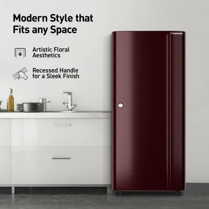 Panasonic NR-A202BURN 190 L 2 Star Single Door Refrigerator