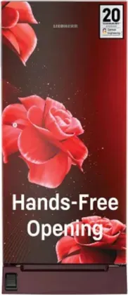 Liebherr DFPrdC 1921 191 L 3 Star Single Door Refrigerator