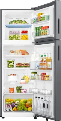 Samsung RT40H30U2PN 256 L 2 Star Double Door Refrigerator