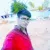 Golu Tiger