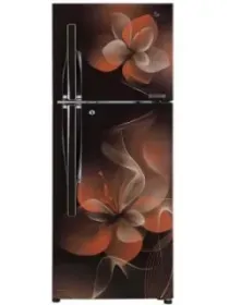 LG GL-T292RHDU 260L 3 Star Double Door Refrigerator