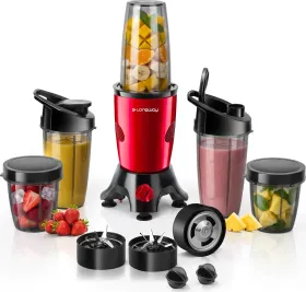 Longway Blixa 600W Mixer Grinder