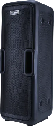 Croma CREA300DJA259901 50W Portable Speaker