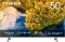 Toshiba 50C350LP 50 inch Ultra HD 4K Smart LED TV