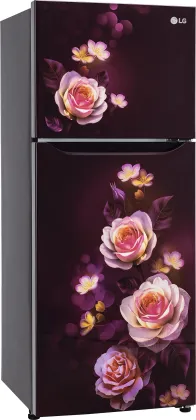 LG GL-N292DSBY 242 L 2 Star Double Door Refrigerator