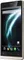 Lava Iris Icon