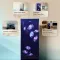 Haier HED-205TMIBA-N 190 L 5 Star Single Door Refrigerator