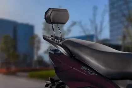 Joy e-Bike Wolf Plus