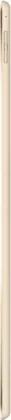 Apple iPad Pro 9.7 2016 (WiFi+128GB)