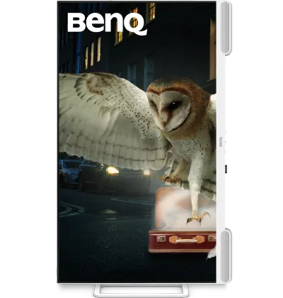 BenQ EW3290U 31.5 inch Ultra HD 4K Monitor