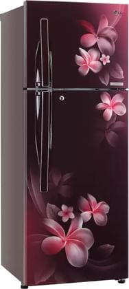LG GL-T302RSPN 284L 4 Star Double Door Refrigerator
