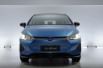 BYD E6
