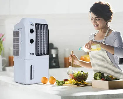 Havai Mini 20 L Personal Air Cooler