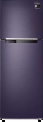 Samsung RT30T3082UT 275 L  2 Star Double Door Refrigerator