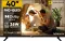 Realme TechLife 40FHDGQRDDRQ 40 inch Full HD Smart QLED TV