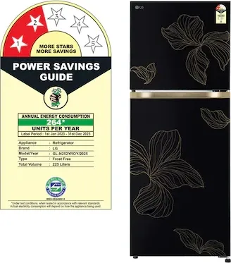 LG GL-N252YROY 225 L 2 Star Double Door Refrigerator