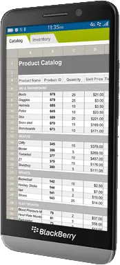 BlackBerry Z30